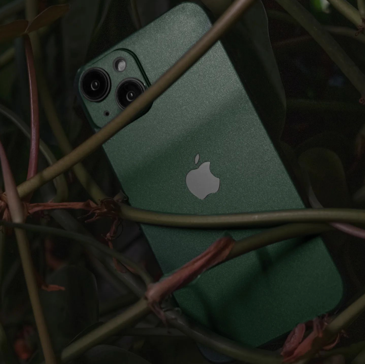 iPhone 12 mini Skin Matte Pine Green